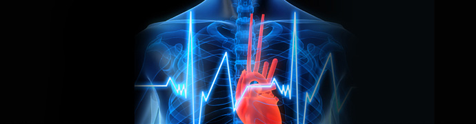 Cardiac Imaging Los Angeles
